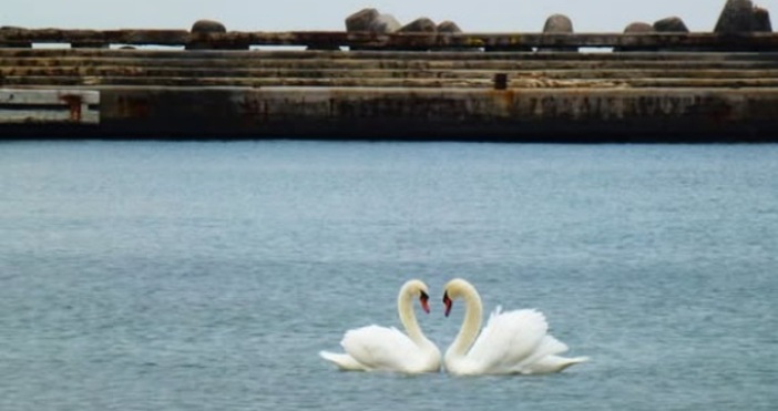 Прекрасна гледка на плажа във Варна В дните около Свети Валентин