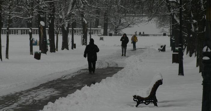 Зима в столичната Борисова градинаСнегът в София днес преобрази парк