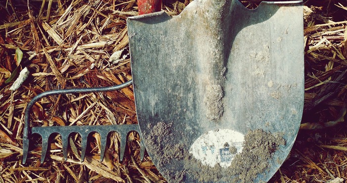 Софийският районен съд наложи наказание лишаване от свобода от две