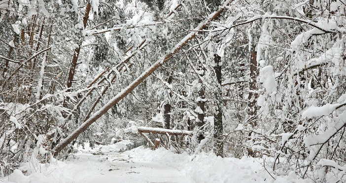 Община Дългопол обяви частично бедствено положение съобщиха от Областната администрация