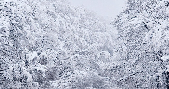 Бедствено положение е обявено в община Бяла Там три села