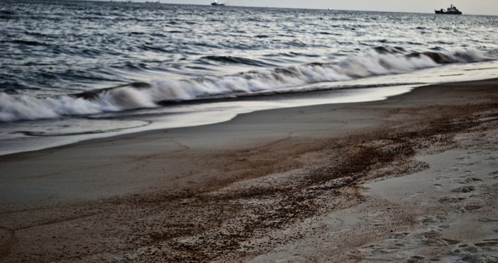 Проверки по информацията за наличие на мазутни петна на плажа