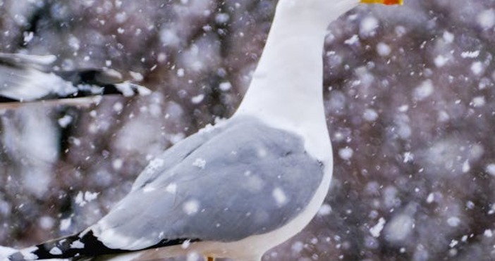 През нощта ще преобладава ясно а през деня слънчево