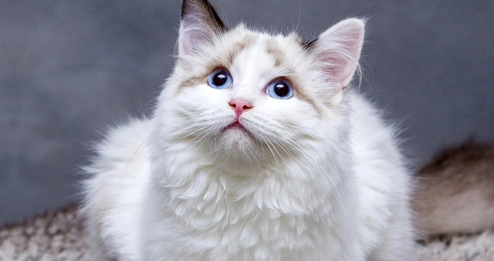 Проучване публикувано от Центъра за контрол и превенция на заболяванията