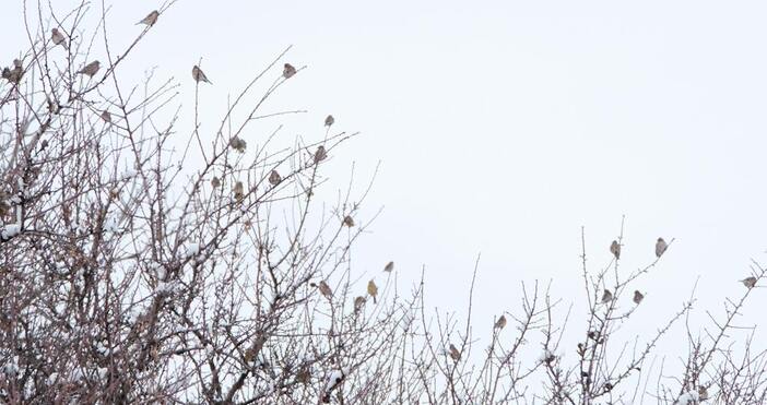 Атмосферното налягане е значително по високо от средното за февруари и