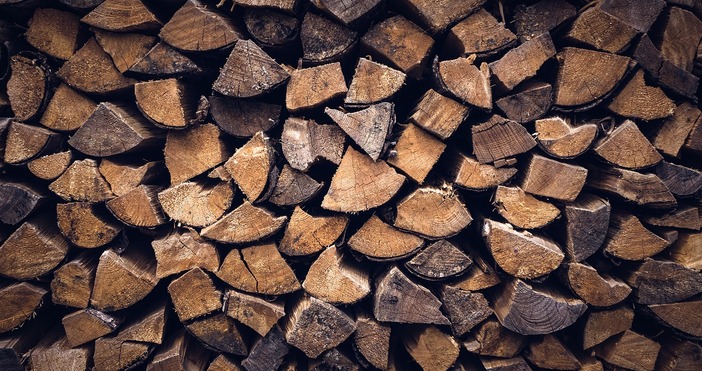 Сериозен спад на интереса към дървата за огрев отчитат от