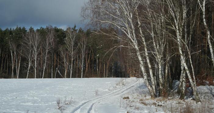 До 21 градуса паднаха температурите в Североизточна България тази сутрин Измерени