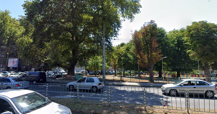 Над 40 хиляди са стълбовете в община Варна повече от