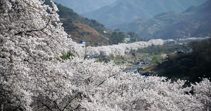 Синоптиците предричат ранна пролет с температури до 27 градусаМарт ще предложи