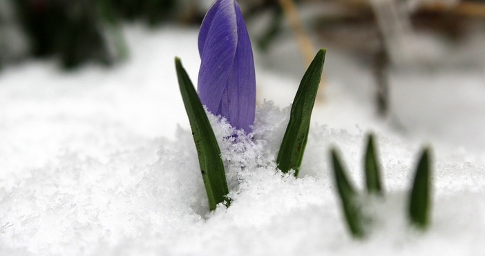 Климатолози прогнозират необичайно топло време за началото на пролеттаМесец март тази година