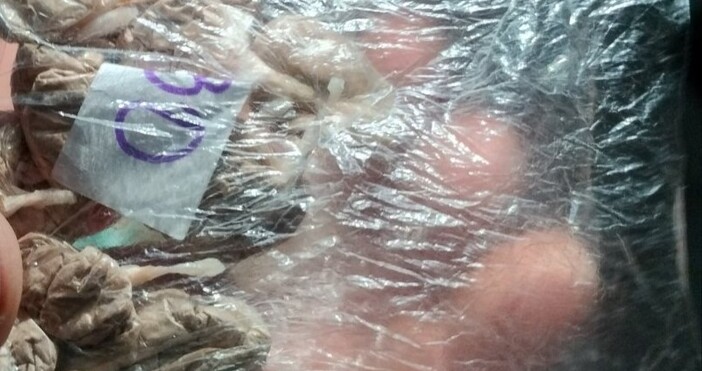 Близо 30 души са задържани при операция в София проведена