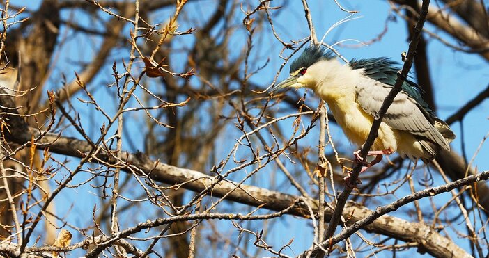 Предстоят ни 10 12 слънчеви и топли дни Един огромен антициклон