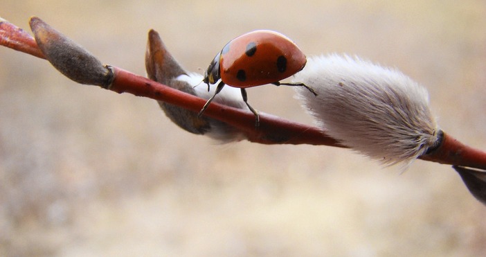 През нощта ще бъде ясно със слаб вятър от юг югозапад