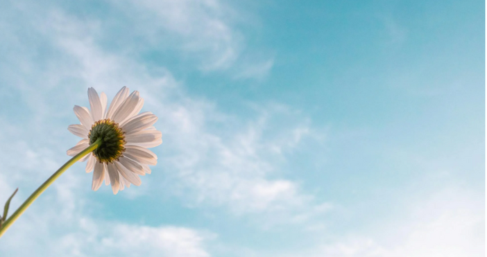 През нощта срещу петък над цялата страна ще е предимно