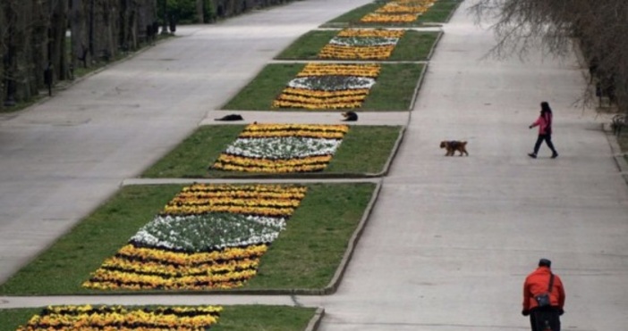 Варненка с предупреждение в мрежата Тая напаст се завърна Внимавайте