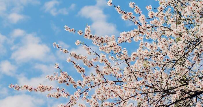 В събота ще бъде предимно ясно и почти тихо Сутринта