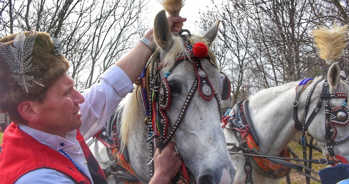 Именници са Тодор Божи дар Тодора Теодора Теодор Тошо Божидар Божидара