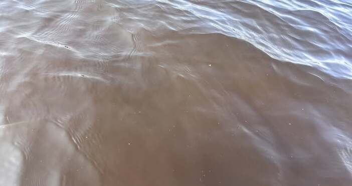 Кметът на Варна Благомир Коцев излезе с изявление във Фейсбук Ето