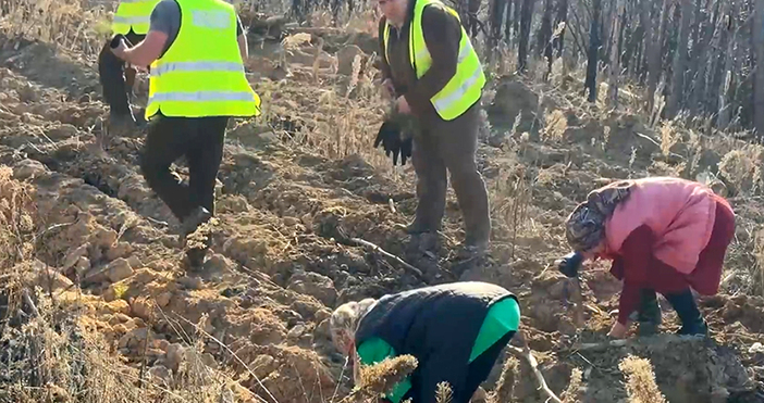 Мая Иванова Кадър Нова ТВВ района на Панагюрище тече една