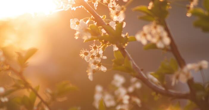 ПекселсПрез нощта срещу 10 март ще бъде ясно и почти