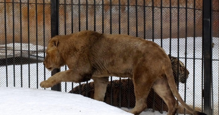 Обучителен стрес тест за реакция при настъпила извънредна ситуация ще