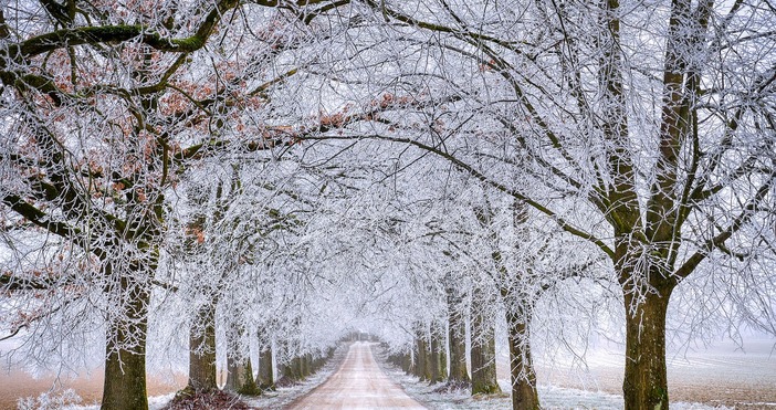 През следващите дни времето ще бъде доста динамично типично мартенско
