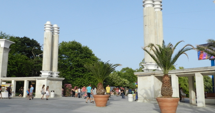 Петел бгОбщина Варна обмисля въвеждането на такси за ползването на обществените