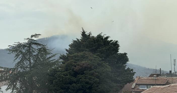 В горския фонд между селата Изгрев и Лозенец е възникнал