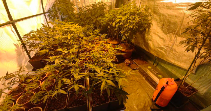 снимки МВР ВарнаПоредна ударна акция по наркоразпространението Иззето е оборудване и готова