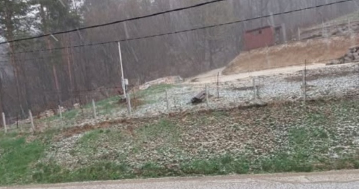 Ситна градушка достигна и Габрово дори образува и ледена покривка