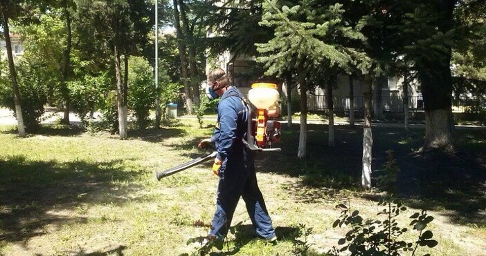 Общинско предприятие Дезинфекция дезинсекция дератизация ДДД започва първата за годината