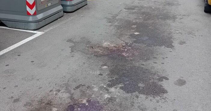 Не е никак приятна гледката по улица във Варна Виждат се