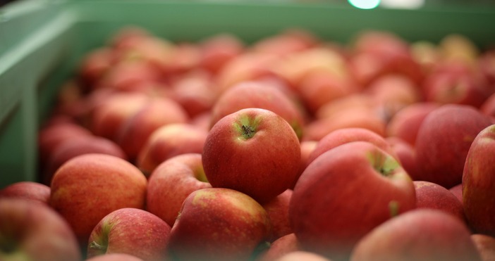 Нов етап на търговските отношения между Москва и Пхенян Севернокорейски