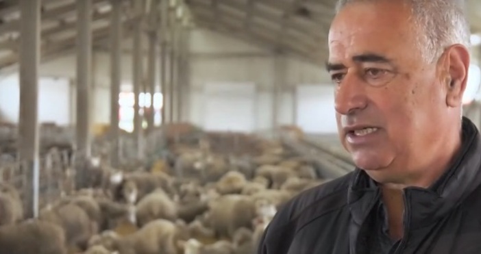 Цената от овцефермата до магазинната мрежа обаче скача над два пъти