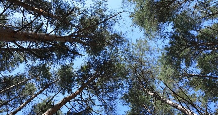 Очакват ни обилни валежи и температурен диапазон от минус 3