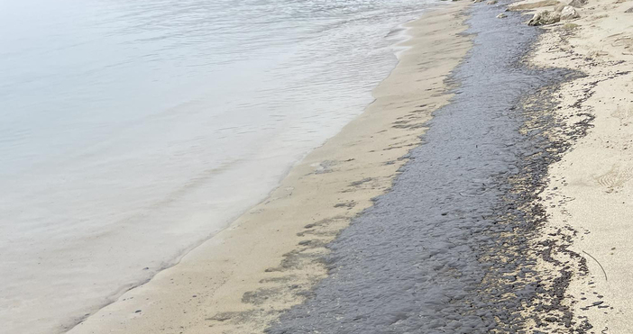 Институциите проверяват сигнали за петна от мазут в морето край