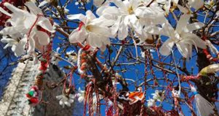 Изминалият март е един от най топлите месеци март от началото