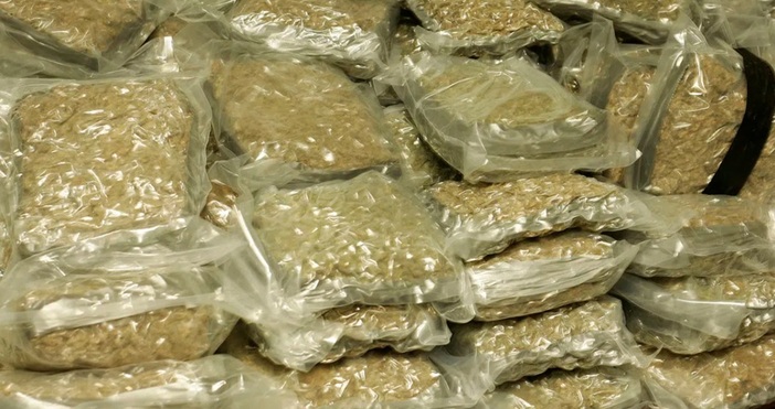 Митничари от Капитан Андреево откриха 23 800 кг марихуана при проверка