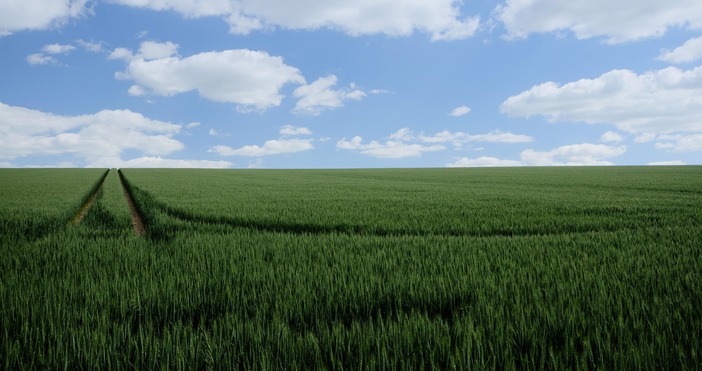 Българското селско стопанство е системно неглижирано много често безидейно и