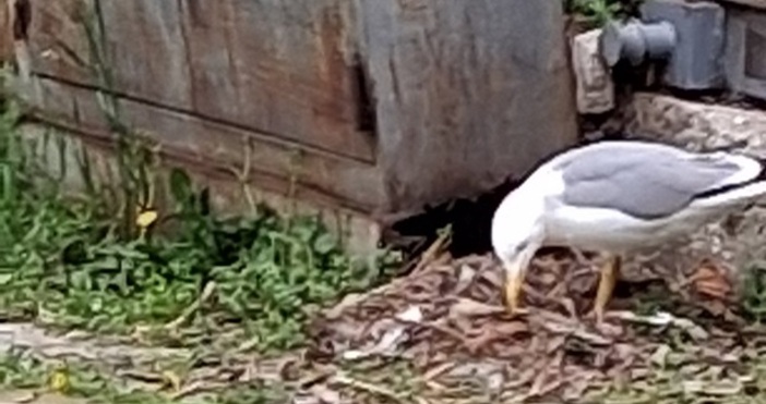 Гражданка е възмутена от начина по който някой се опитва