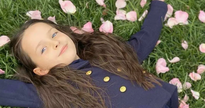 Петел следи какво се случва след трагичната гибел на пътя