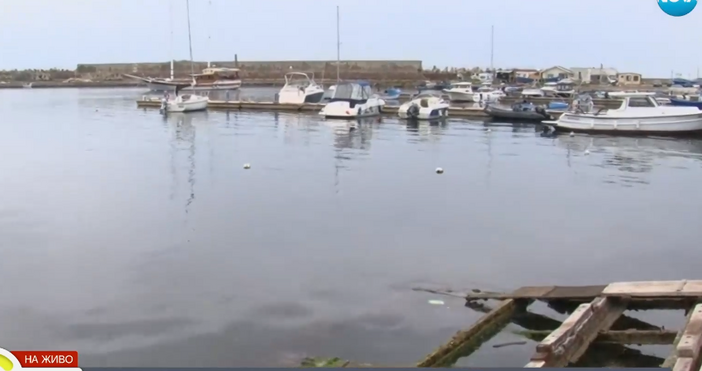 Почистване на пристанището в Созопол събира жители на градчето днес Идеята