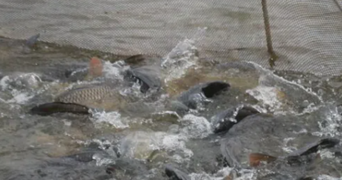 Инспектори получиха сигнал за нещо незаконно което се случва в