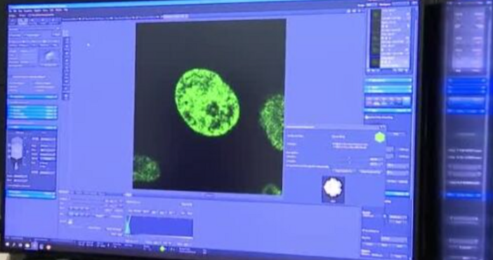 Български учени за първи път определиха положението на хромозомите в