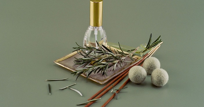 Кърлежите са малки паякообразни които се хранят с кръвта на