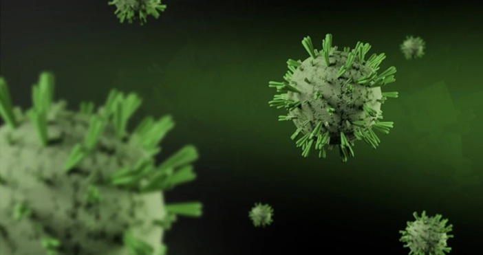 Откриха нов случай на смъртоносен щам на морбили във Великобритания