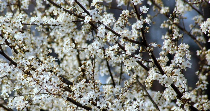 Проектът на Закона за веригата на доставки на земеделски продукти