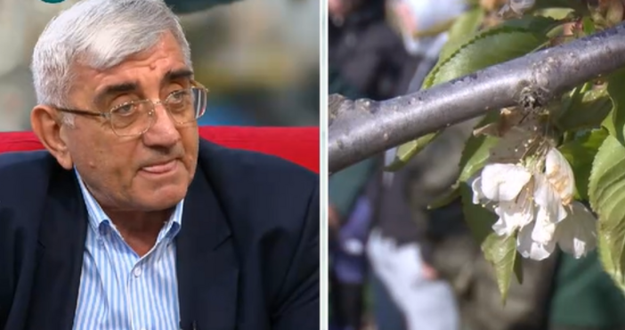 Стопкадри Нова нюзНеобичайният априлски сняг през април е най лошата новина