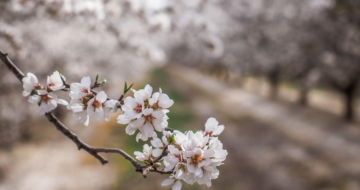 Областният управител на Кюстендил Александър Пандурски обяви със своя заповед бедствено