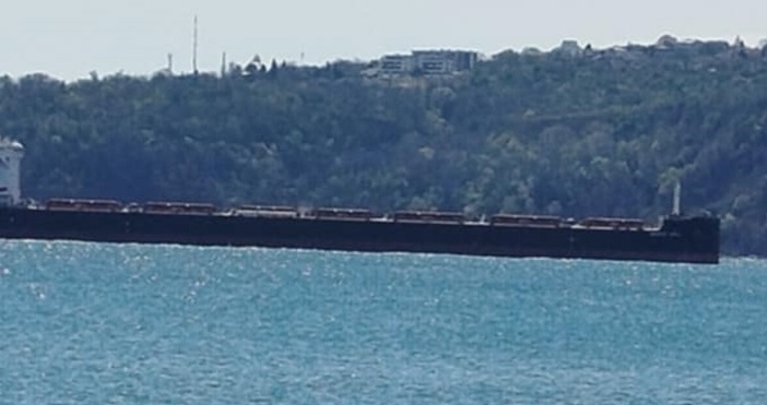 Кораб тип Панамакс пристигна в  Пристанище Варна Той достави 58 000 тона рапица